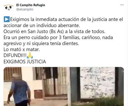 Posteo del refugio de perros