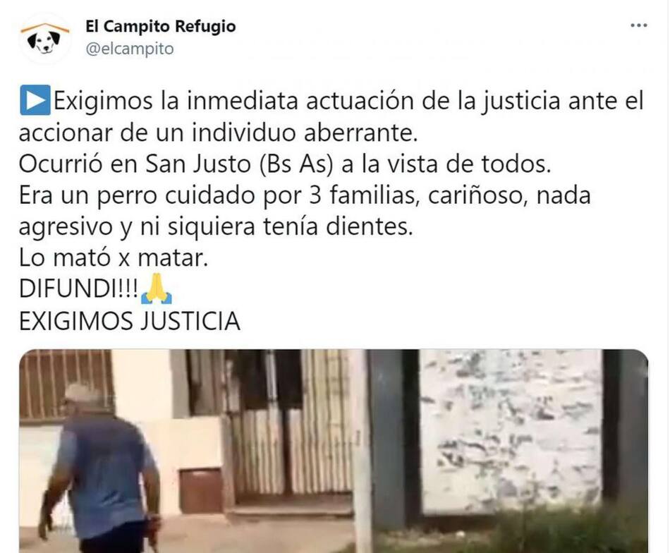 Posteo del refugio de perros
