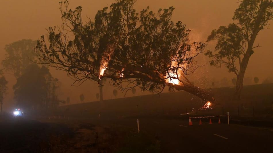 Incendios en Australia, REUTERS