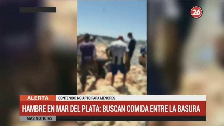 Mar del Plata: La gente busca Pollos en mal estado tirados por supermercado (Canal 26)