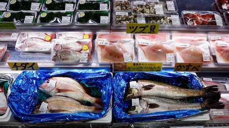 Industria pesquera china. Foto: Reuters.