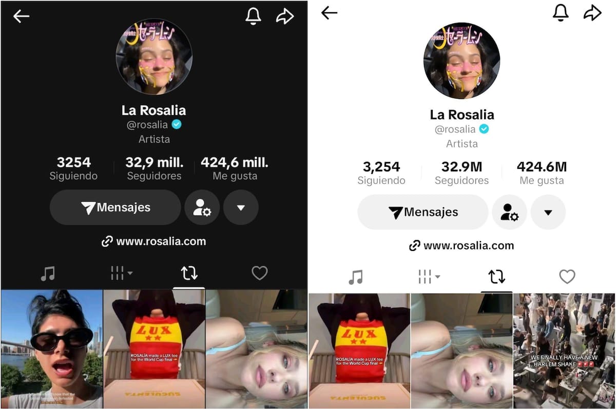 TikTok de Rosalía.