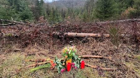 Dos adolescentes alemanas mataron a puñaladas a una chica de 12 años. Reuters