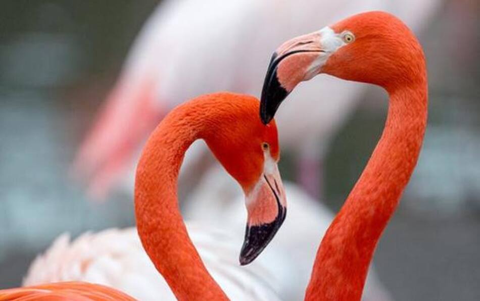 Los 10 mejores sitios turísticos de Alemania