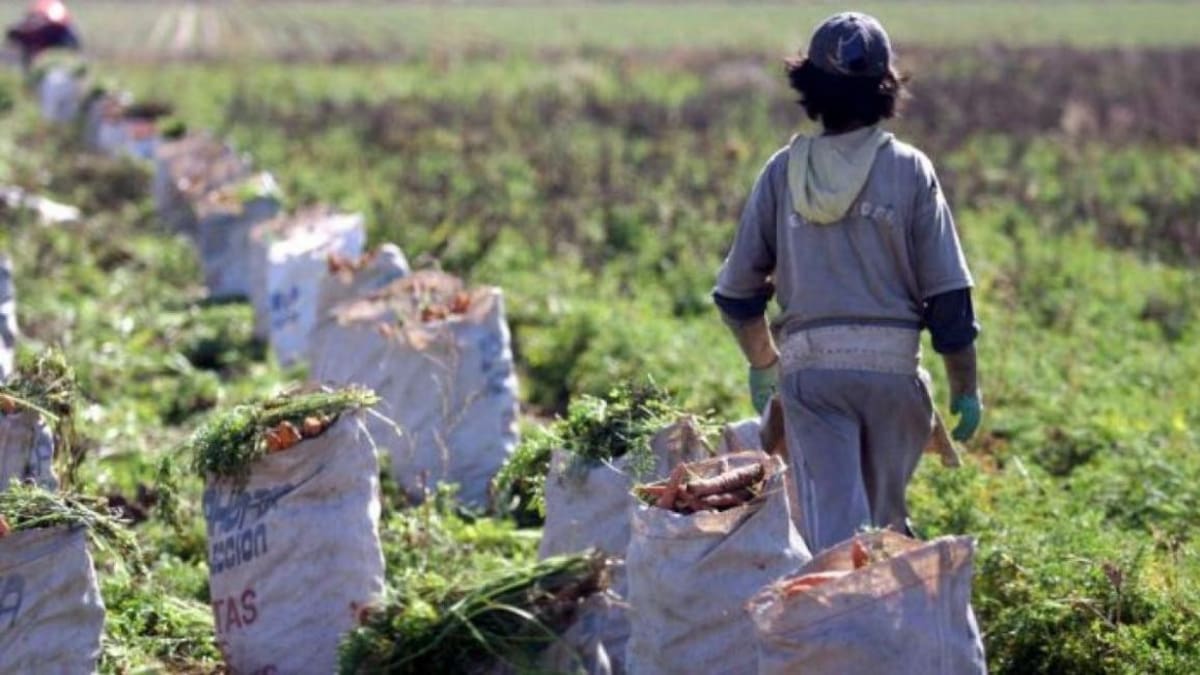 Efemérides - Día Mundial contra trabajo infatil