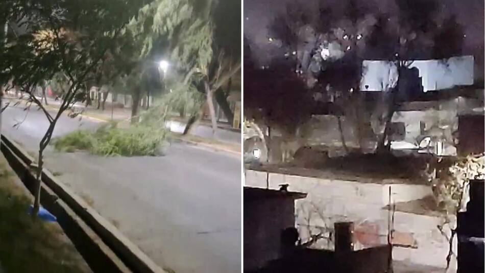 Viento Zonda en Mendoza. Foto: capturas