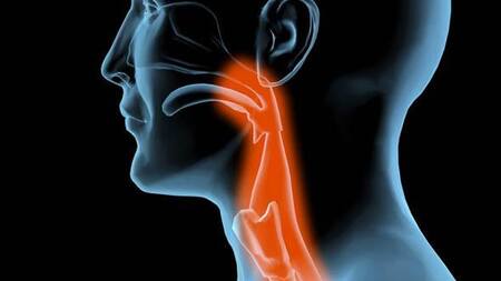 Disfagia, trastornos para tragar, alimentación