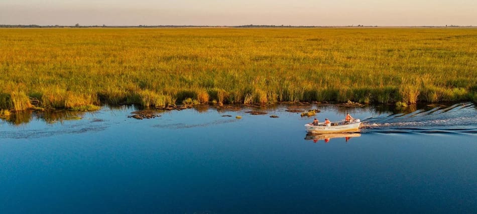 Esteros del Iberá. Fuente: NA