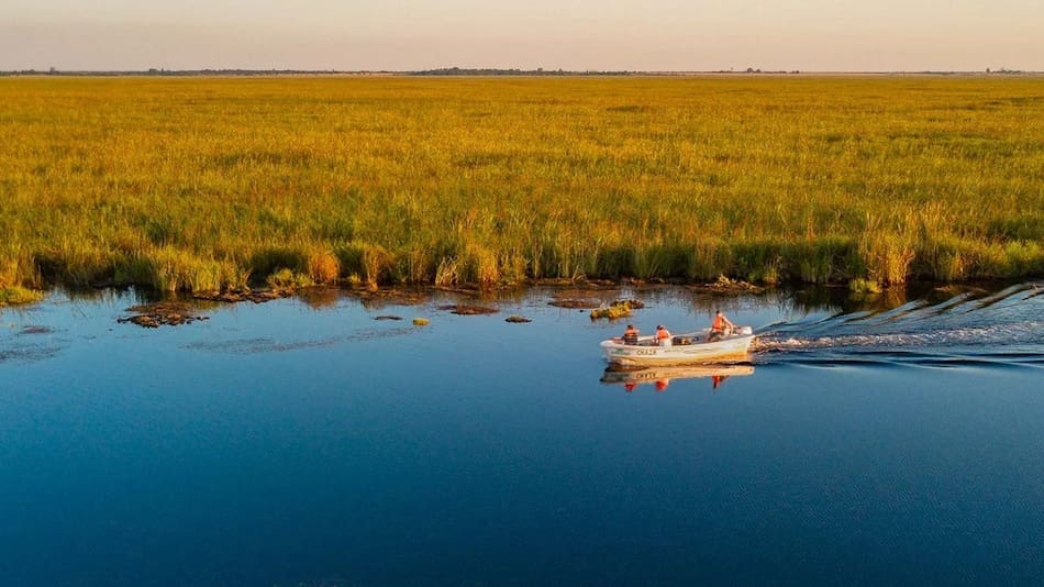 Esteros del Iberá. Fuente: NA