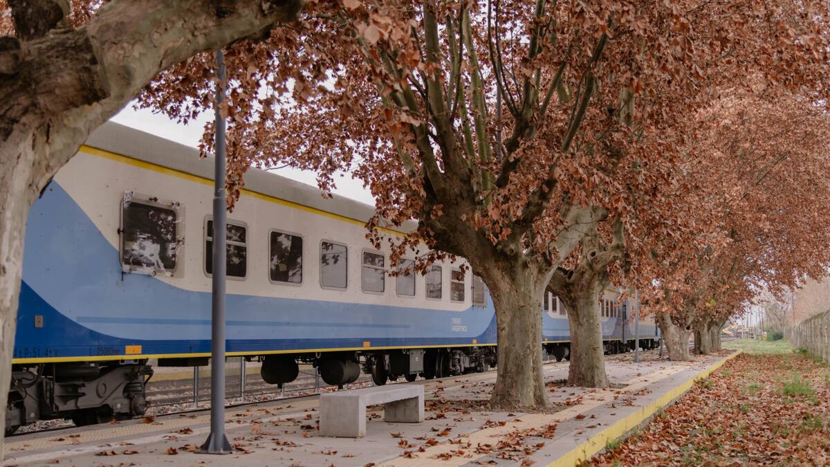 Opciones low cost para viajar en tren. Foto Trenes Argentinos
