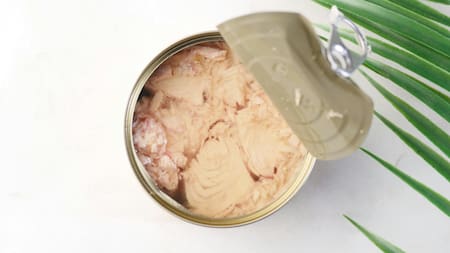 Alertan por mercurio en latas de atún: piden devolver esta marca y no consumirla