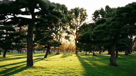 Ranking mundial: cuáles son las ciudades con más espacios verdes y en qué puesto se encuentra Buenos Aires