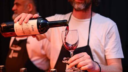 Se realizó el 7° Encuentro de Productores Vitivinícolas de la Provincia de Buenos Aires en Malvinas Argentinas.