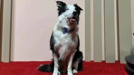 Messi, el invitado destacado de los Oscar. Foto: NA.