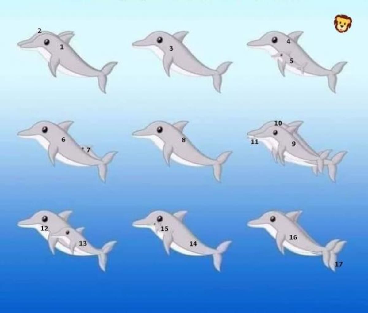 Desafío viral de delfines - Solución