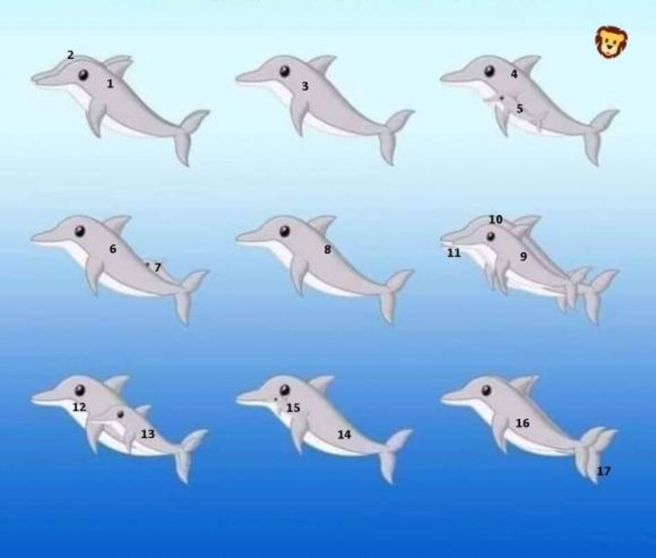 Desafío viral de delfines - Solución