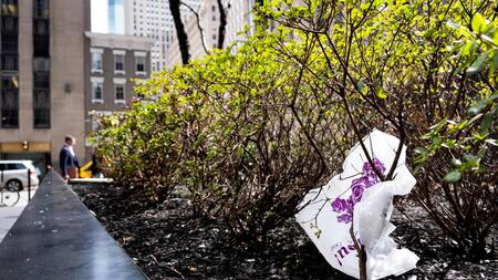 California pondrá fin a las bolsas de plástico en los supermercados en 2026. Foto: EFE.