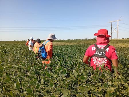 Búsqueda de Lian Gael Flores Soraire. Foto: NA.