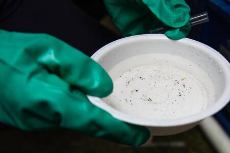 Dengue en Brasil. Foto: EFE