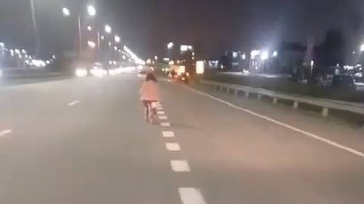 Una nena anduvo en bicicleta por Panamericana. Foto: Captura de video