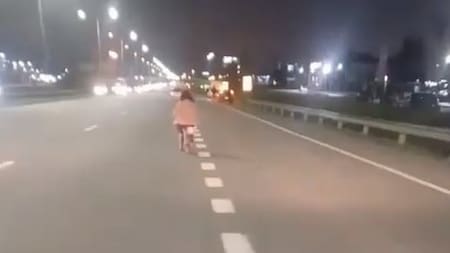Una nena anduvo en bicicleta por Panamericana. Foto: Captura de video