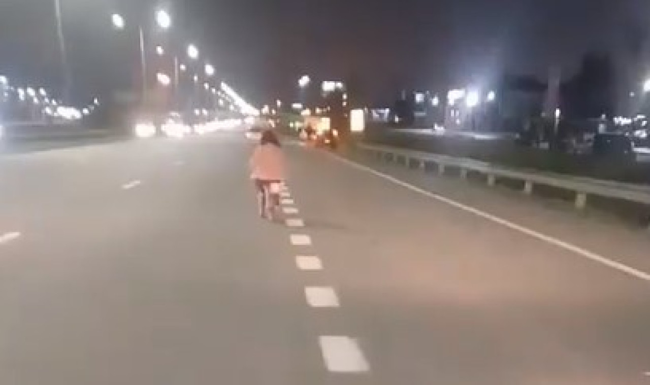 Una nena anduvo en bicicleta por Panamericana. Foto: Captura de video