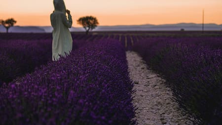 Paisaje con plantas. Foto: Unsplash.