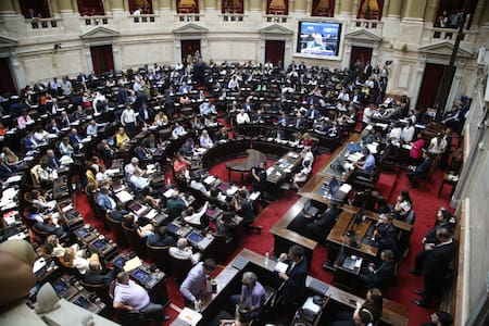 Debate Ley Ómnibus en Diputados. Foto: NA