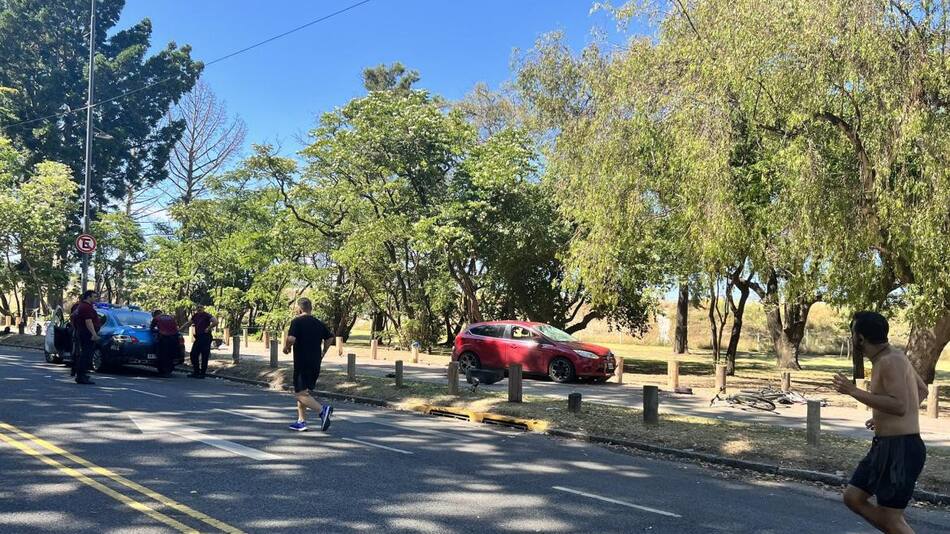 Locura al volante, Bosques de Palermo