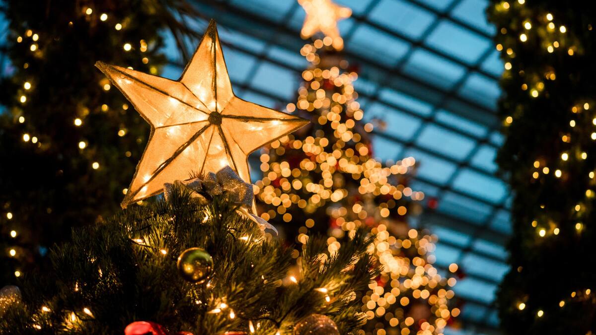 Arbolito de navidad. Foto: Unsplash
