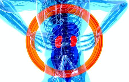 El cáncer renal es el quinto tumor más frecuente en la Argentina. Foto: Unsplash.