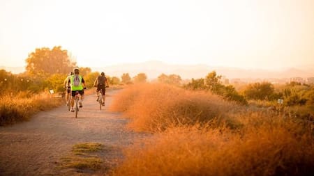 Día Mundial de la Bicicleta