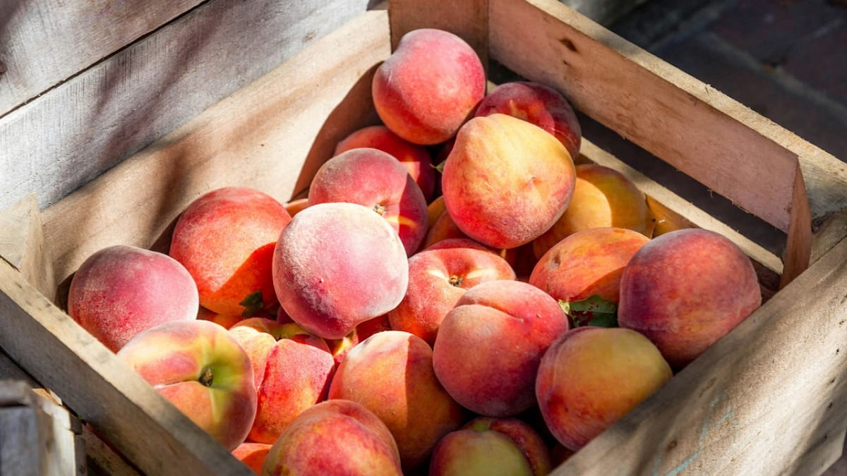 Duraznos; frutas. Foto: Unsplash.
