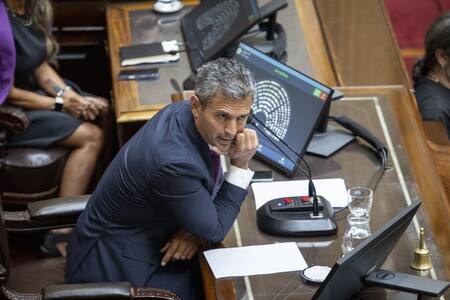 Martín Menem, presidente de la Cámara de Diputados.