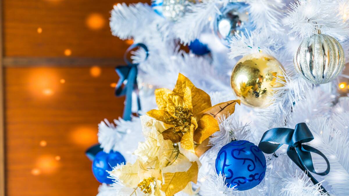 Los colores tendencia para esta Navidad 2024. Foto Unsplash