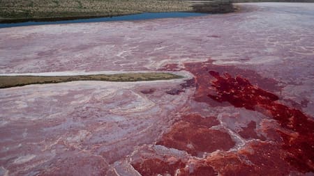 Lago Natrón, Tanzania. Foto: Unsplash.