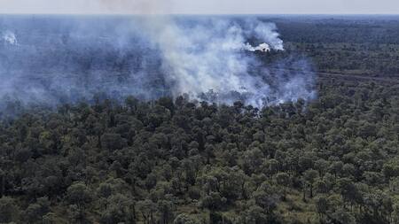 Pantanal brasileño, incendio. Foto: EFE