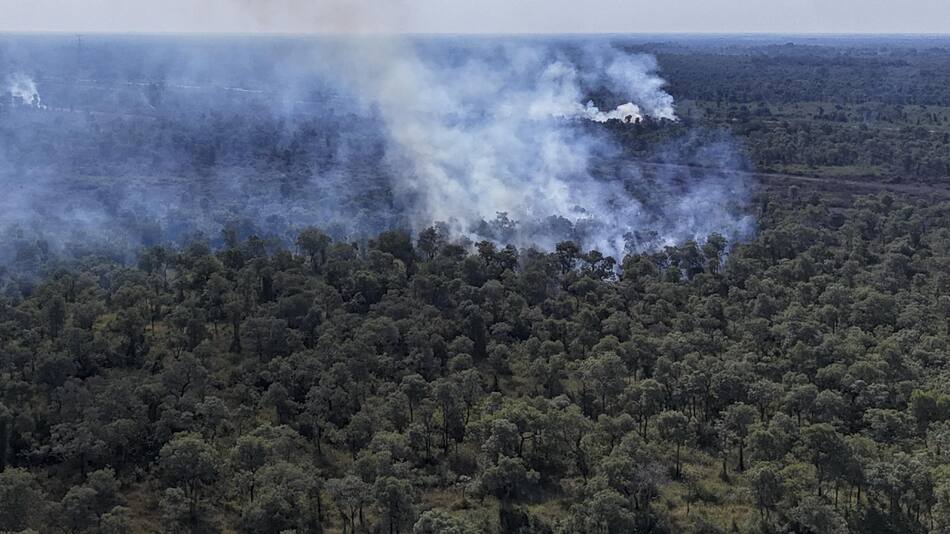 Pantanal brasileño, incendio. Foto: EFE