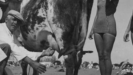 La imagen más insólita de las playas argentinas: un hombre ofreciendo leche recién ordeñada