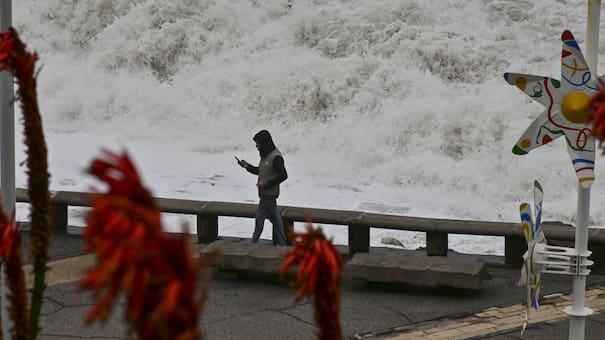 Fuerte temporal en Mar del Plata: subió el agua, llegó hasta la calle y provocó destrozos en la ciudad