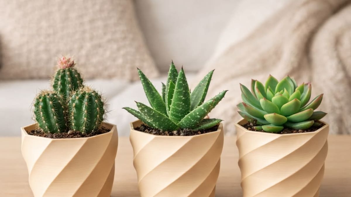 Macetas con textura, la nueva moda en plantas