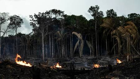 Amazonia. Foto: EFE