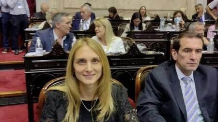 Gabriela Brouwer de Koning, de la bancada UCR-Evolución