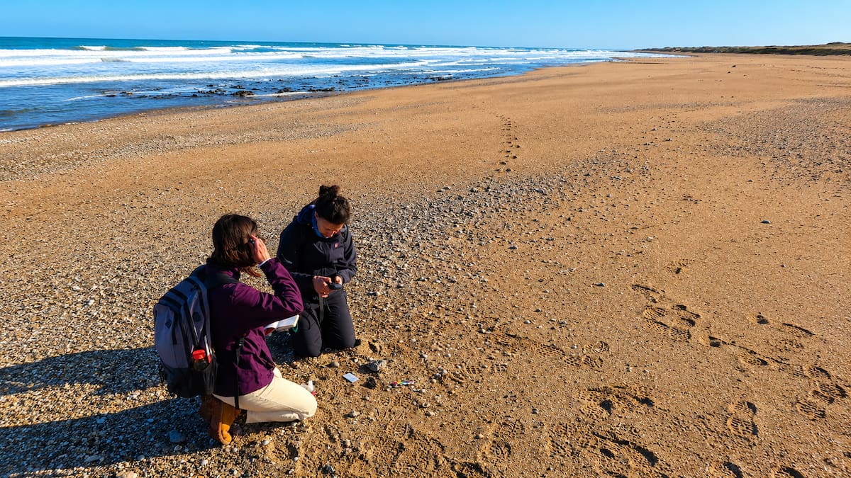 Centinela del Mar, el paraje bonaerense que combina naturaleza intacta, historia y desconexión