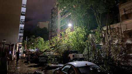 Temporal en Mar del Plata. Foto: X/valcrtsgn