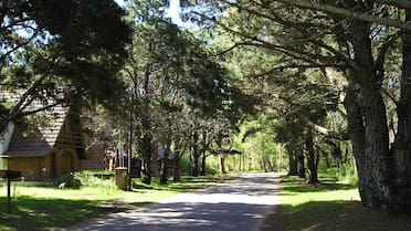 No es Cariló: la “playa del millón de pinos” está a 4 horas de CABA y es perfecta para las vacaciones