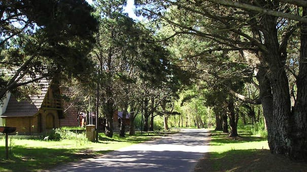 No es Cariló: la “playa del millón de pinos” está a 4 horas de CABA y es perfecta para las vacaciones