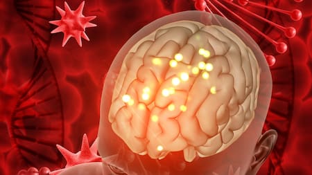 La zona del cerebro donde se produce el envejecimiento. Foto Freepik