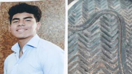 La zapatilla con la que patearon a Fernando Báez Sosa, crimen en Gesell