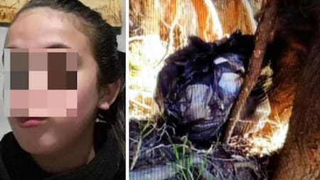 Navila Serena Garay, femicidio